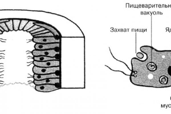 Ссылка на сайт кракен в тор