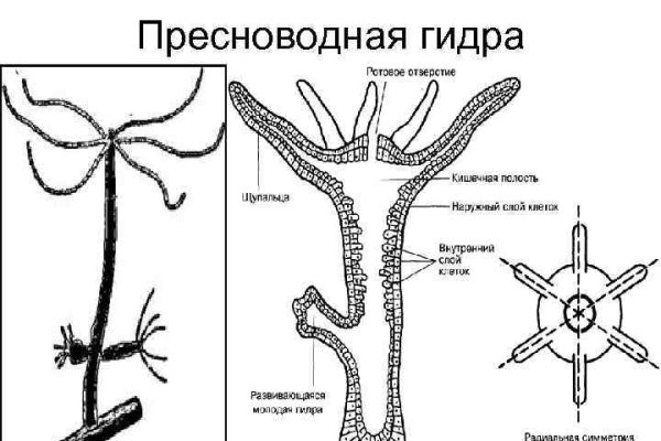 Кракен мага