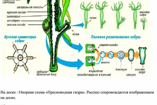 Сайт kraken тор