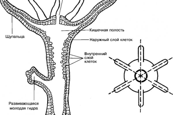 Магазин веществ кракен